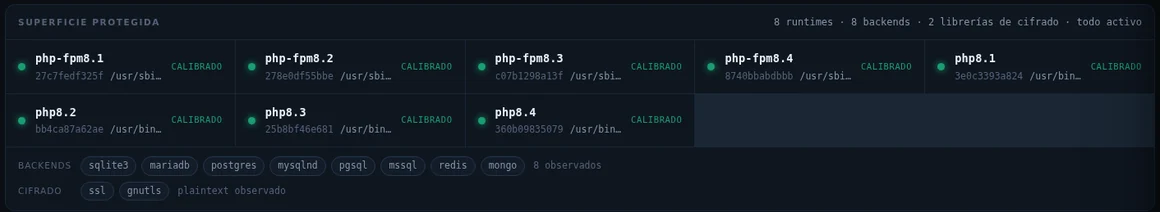 Protected surface: interpreter versions, databases and libraries under observation
